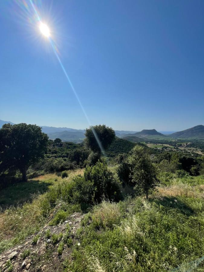 Casa Di Cajucan Poggio-d'Oletta Kültér fotó