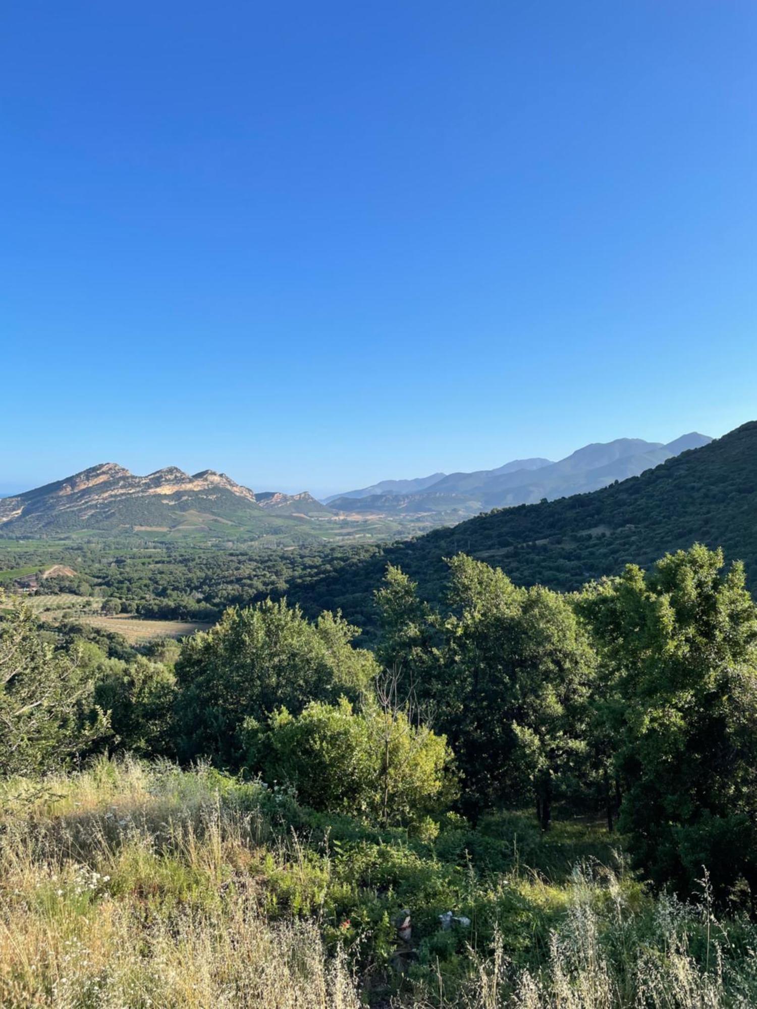 Casa Di Cajucan Poggio-d'Oletta Kültér fotó