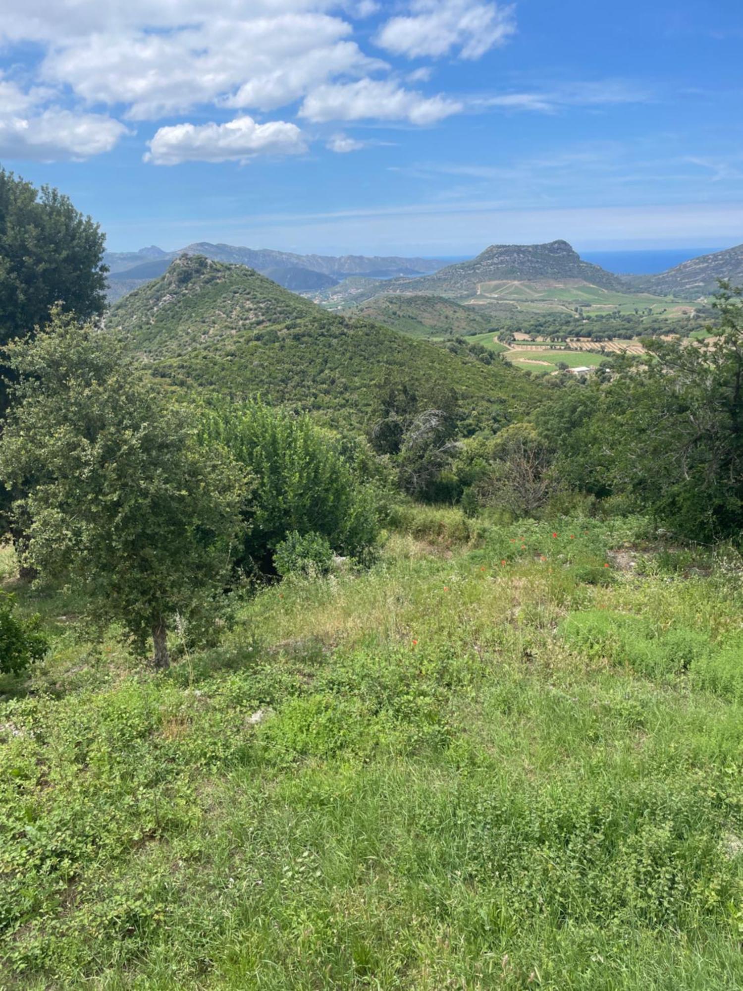 Casa Di Cajucan Poggio-d'Oletta Kültér fotó