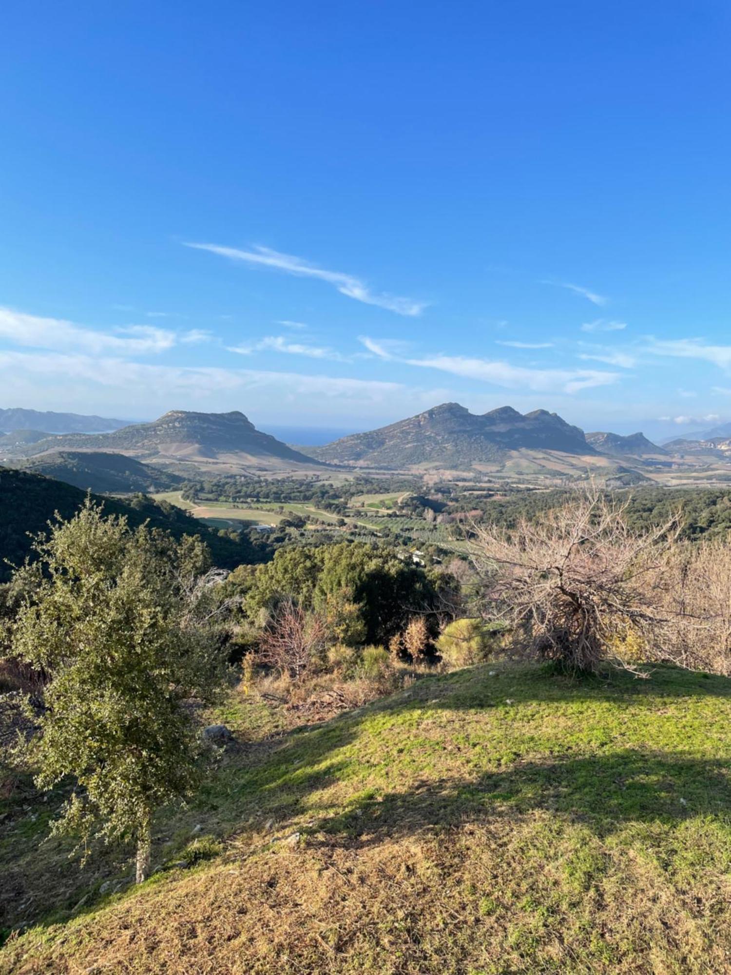 Casa Di Cajucan Poggio-d'Oletta Kültér fotó